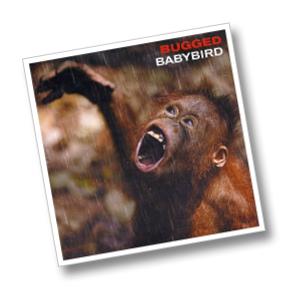 Assorted - Assortment: Babybird Discography (mp3.)